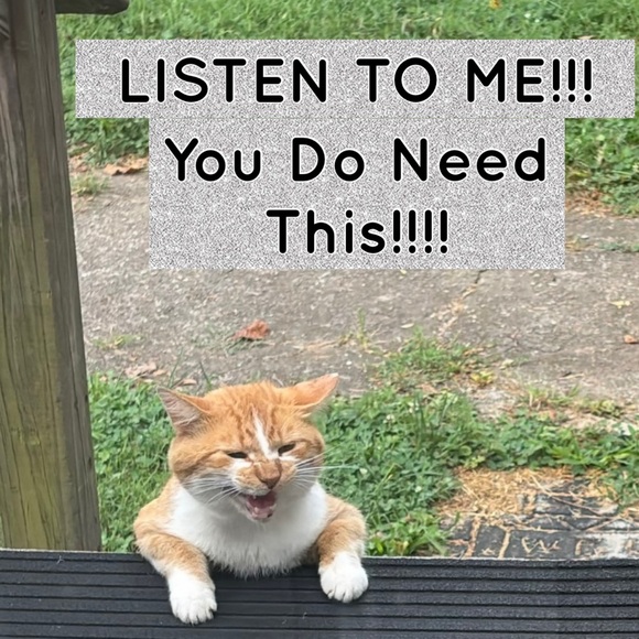 BOOK What is my cat thinking? Essential guide to animal behavior Gwen Ba… - Picture 10 of 11